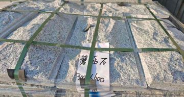 武威芝麻白蘑菇石，自然面